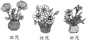 ��Ӣ�ҽ���