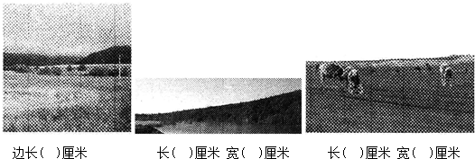 ��Ӣ�ҽ���