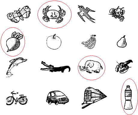 ��Ӣ�ҽ���