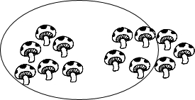 ��Ӣ�ҽ���