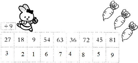 ��Ӣ�ҽ���