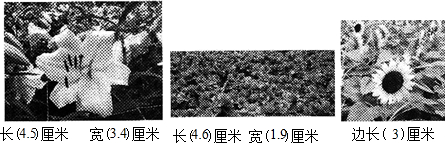 ��Ӣ�ҽ���