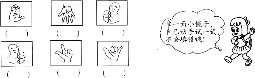 ��Ӣ�ҽ���