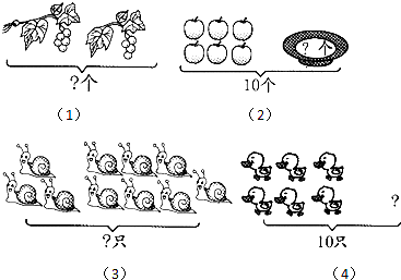 ��Ӣ�ҽ���