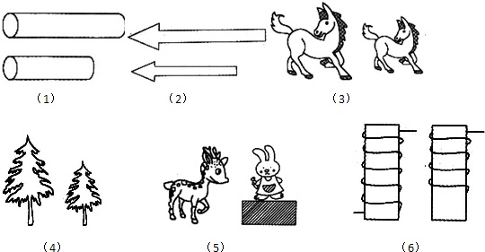 ��Ӣ�ҽ���