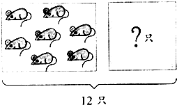 ��Ӣ�ҽ���