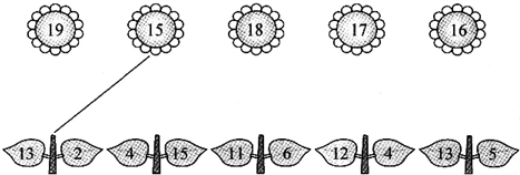 ��Ӣ�ҽ���