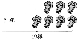 ��Ӣ�ҽ���