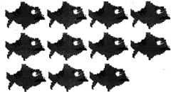 ��Ӣ�ҽ���