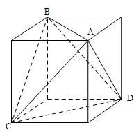 ��Ӣ�ҽ���