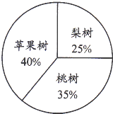 ��Ӣ�ҽ���