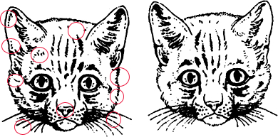 ��Ӣ�ҽ���