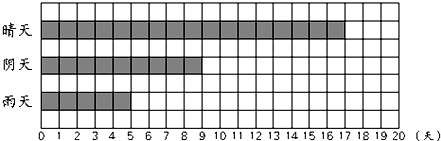 ��Ӣ�ҽ���