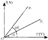 ��Ӣ�ҽ���