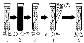 溴甲酚紫变色原理图片