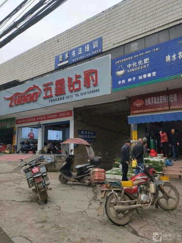 美术书法培训