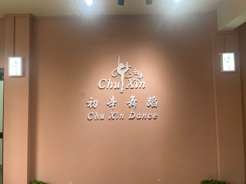初辛舞蹈
