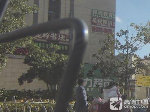 龙吟书法