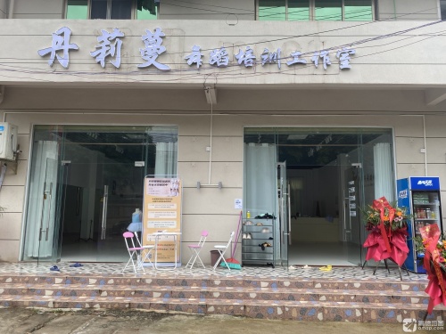 丹莉蔓舞蹈培训工作室