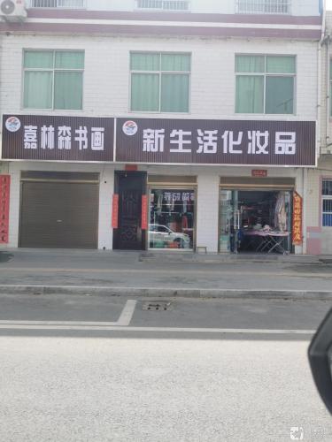 嘉林森书画